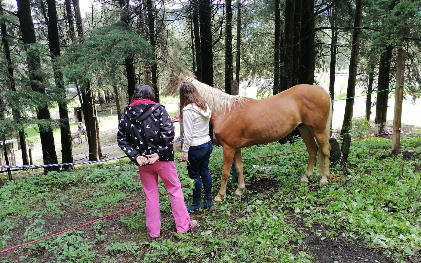 Caballo protagonista del proceso