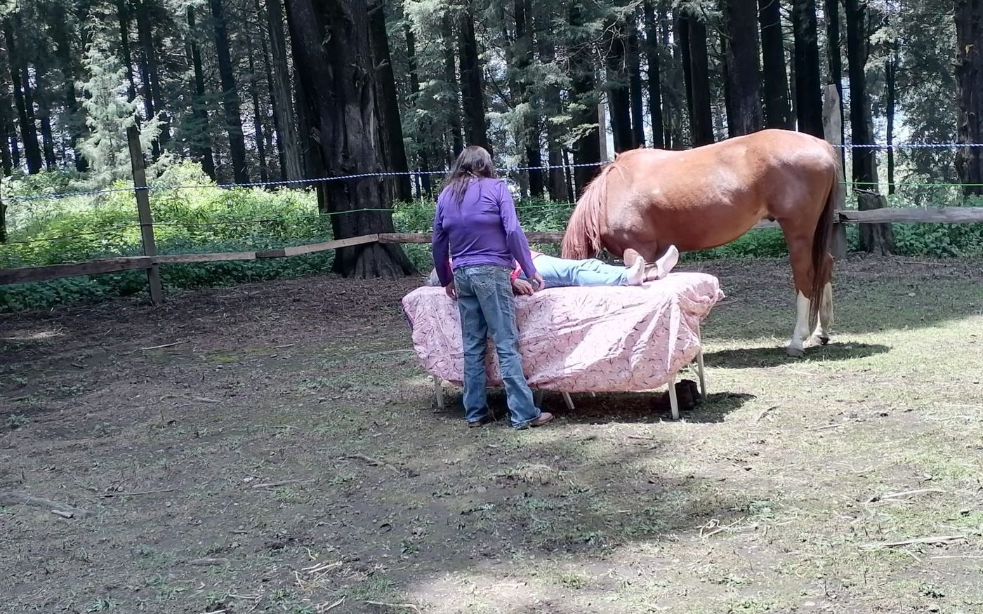 Sesión energética en camilla con caballo